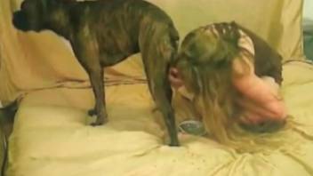 Dog fucks tight woman with big tits and cums inside her