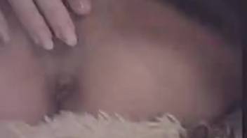 Pregnant-seeming dark-haired woman is fucked by a black canine