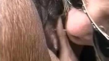 Nude woman gags with the horse's penis in insane modes