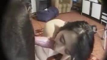 Great Dane fucks woman's pussy and ass while hubby films her