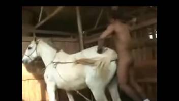 Jockey explores her lovely stallion in the barn