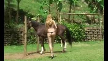 Slim whore inserts massive horse dick up her cunt