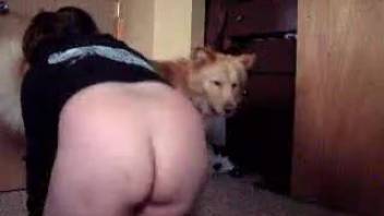 Wife with a massive booty arouses our adorable pet dog