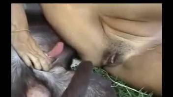 Small-tit chick zoophile rides a nice dog dick in cowgirl pose