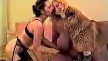 Sex tape video with two cock-crazed zoophile ladies