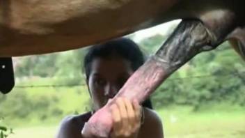 Latina woman grabs huge horse dick to play with