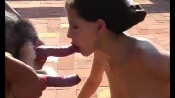 Latina babe being deepthroated in a complimentary outdoor adult clip