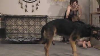 Curvy blonde assumes the doggy position to be mounted by a canine