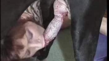 Astonishing sex tape featuring a perverted MILF and her canine companion