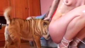 Blonde with saggy tits getting ruined by her dogs