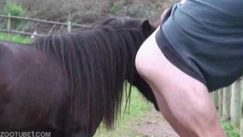Enormous stallion dick pounding this guy's butthole