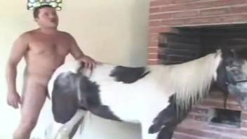 Animal lover shoves his hard boner in a tight bottom of a horse