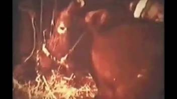 Incredible retro animal sex scene featuring a dark-haired woman