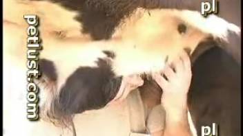Ardent heifer was delightfully nursed by twisted lustful rancher