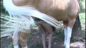 Feral stallion and busty babe enjoy incredible animal sex romp