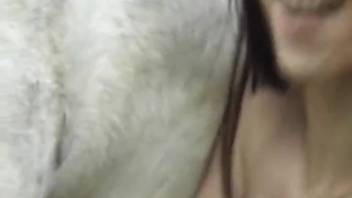 Huge stallion cock blasts an enormous amount of jizz