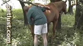 Sensual horse sex compilation with farmers and their beasts