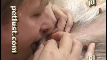 Gorgeous Labrador in the missionary position is being penetrated in missionary style