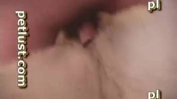 Husband bangs his hot curvy babe in cowgirl position just how he prefers