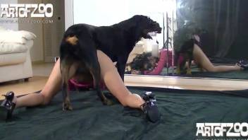 Dark dog licks her tight cunt and fucks her crack from behind