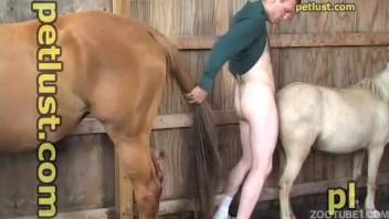 Adorable pale filly gets entered from behind in doggy position