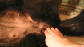 Ebony canine enjoys filthy zoophilia with a deviant master