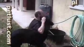 Good-looking rottweiler pounds my naked hubby on the floor