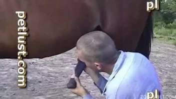 Rancher aggressively anally penetrates a fiery stallion in doggy style position.
