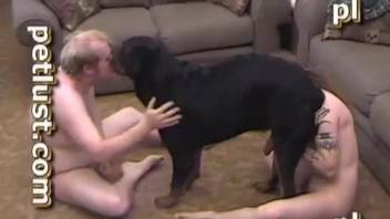 Amazing amateur dog bestiality with a nerdy fat owner