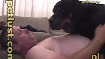 Real beast lover allows his rottweiler to bang his anal hole