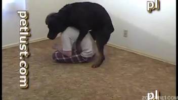 Ebony canine receives erotic oral pleasure from sleazy novice beast-lover