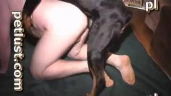 Black dog gets nicely sucked by perverted zoophile guy