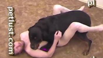 Trained black dog nicely screwed a horny male from behind