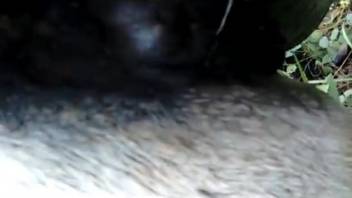Hung guy pounding beast's vagina outside, with up-close shots
