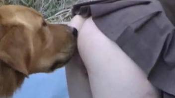 After sniffing blonde's pussy, smart dog is ready to slam her
