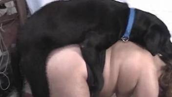 Black dog gets to creampie its horny owner on cam