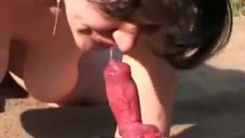 Gorgeous chick stuffs full canine cock into her soaked openings