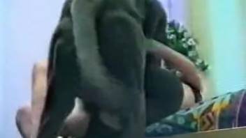 Filthy bestiality encounter with a dark-haired woman in white attire
