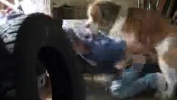 Intense rear-entry intercourse with a canine captured on secret camera