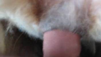 Watch how my cum-filled cock is stuffing this pup's snug butthole