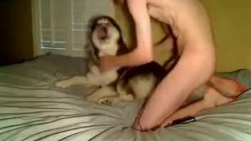 Ideal Husky relishes fantastic anal zoophilia in the sleeping quarters