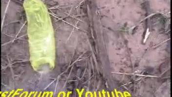 Fantastic barnyard beasts are banging in doggy position during a rainstorm