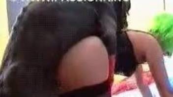 Stockings-wearing chick in a green wig fucks her dog