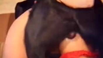 Massive black Doberman penetrated my incredible wife from behind in doggy position