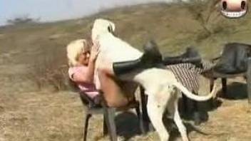 Astonishing blondie is getting nicely drilled by big white dog