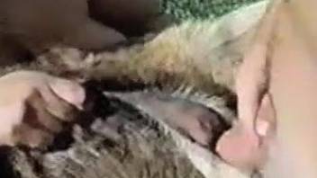 Sexy lusty chick is sucking animal dick under the baking sun