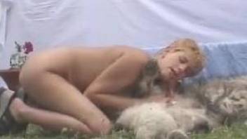 Sexy naked hottie with big boobs sucks a small red dick of her dog