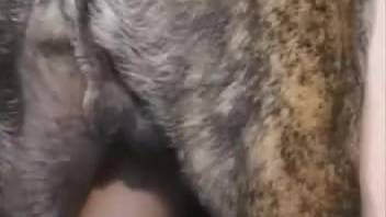 Lucky that the chick has a hound to bang her