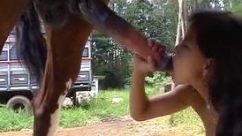 Homemade bestiality video with horses outdoors at the zoo XXX featuring a girl 18+ who sucks dick