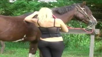 Sexy blondie kneels down just to suck a stallion's massive prick